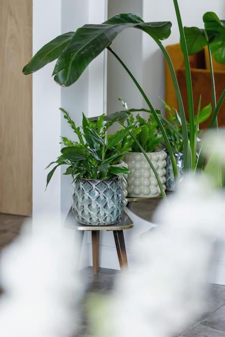 Apartment With Balcony, Private Parking - Bagry Lake - Goszczynskiego 1 คราคูฟ ภายนอก รูปภาพ